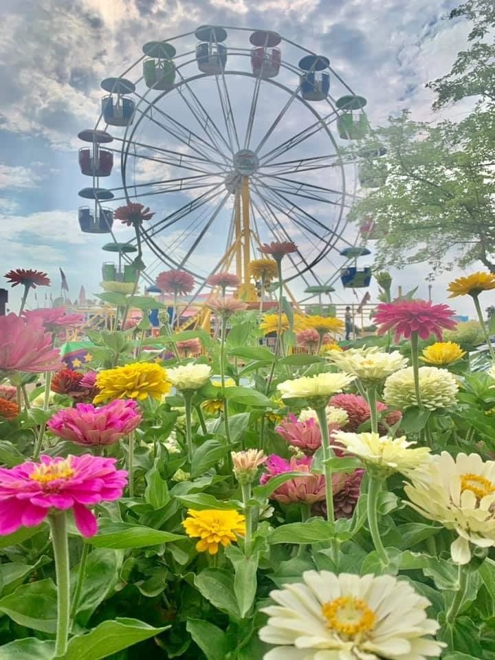 Amador County Fair — Plymouth