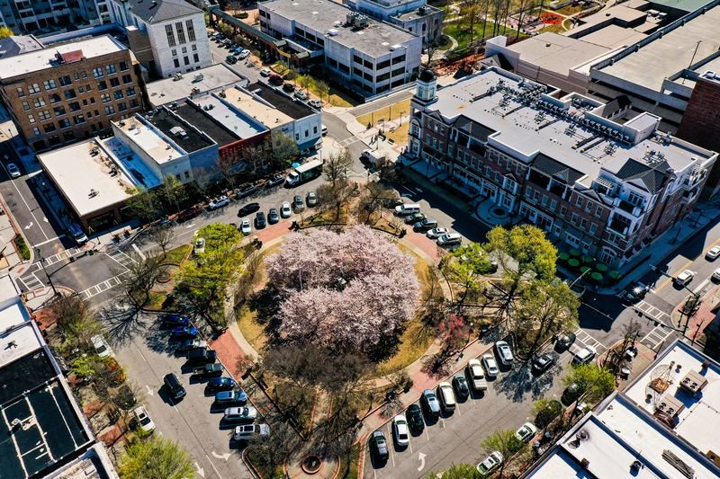 Gainesville Festival and Art Show — Gainesville