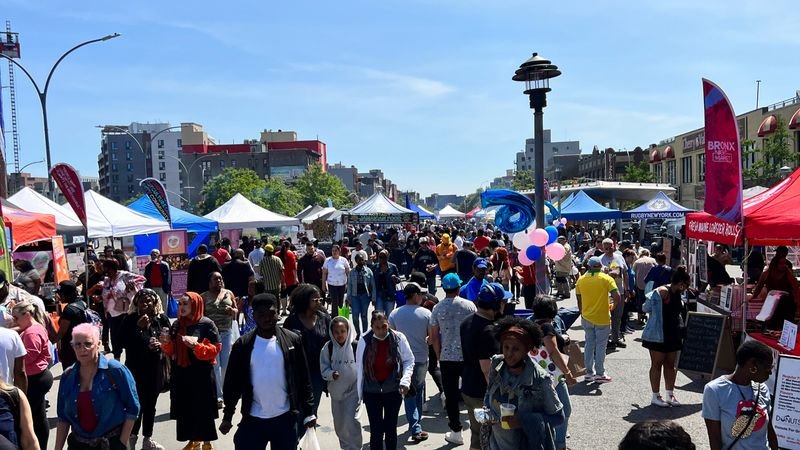 The Fordham Rd Fest — Bronx