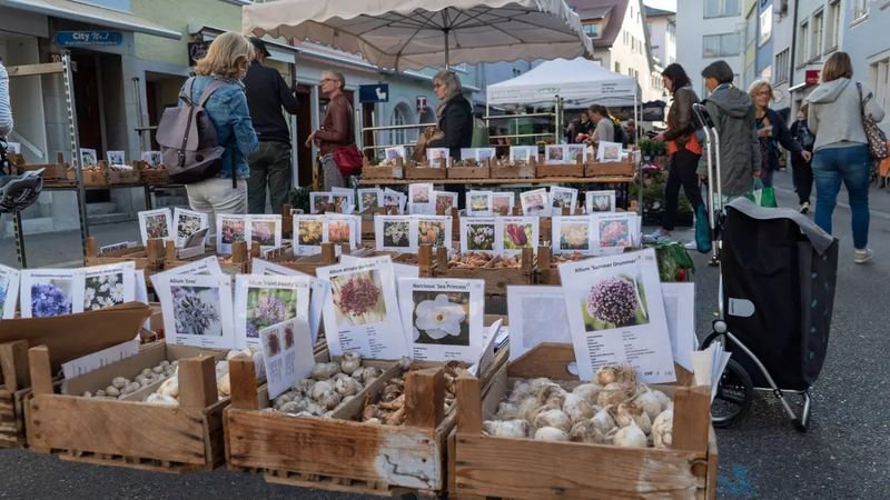 Winterthur Artisan Market — Winterthur